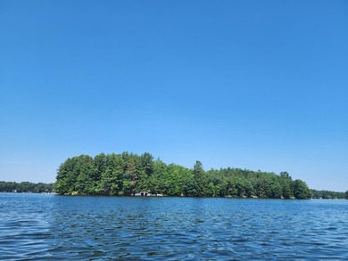 10.58 acres of Big Ripley Island surrounded by renowned Lake - photo 1