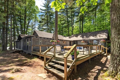 10.58 acres of Big Ripley Island surrounded by renowned Lake - photo 2