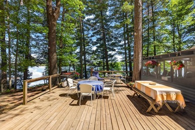 10.58 acres of Big Ripley Island surrounded by renowned Lake - photo 3