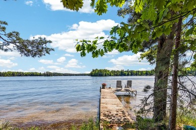 10.58 acres of Big Ripley Island surrounded by renowned Lake - photo 4