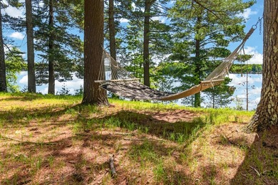 10.58 acres of Big Ripley Island surrounded by renowned Lake - photo 10