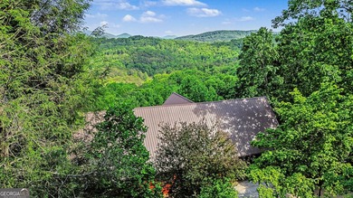 *Escape to your private sanctuary in Blue Ridge! This sprawling - photo 48