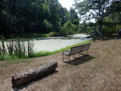 Cabin and pond and 10.13 private acres. SOLD - photo 9