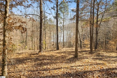 Lake Lot For Sale in Salem, South Carolina