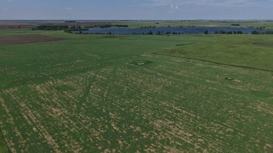 120 +/- acres Hurricane Lake Roberts County, SD. 106 +/- of - photo 2