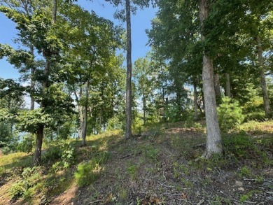 ~ONE OF THE BEST LOTS ON LAKE NOTTELY~ This beautiful .077 acre - photo 5