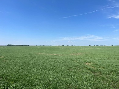120 +/- acres Hurricane Lake Roberts County, SD. 106 +/- of - photo 5