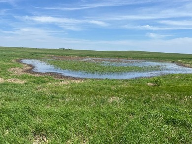 120 +/- acres Hurricane Lake Roberts County, SD. 106 +/- of - photo 6