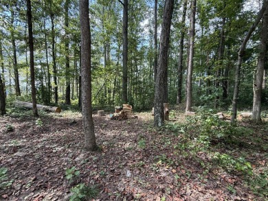 Lake Lot For Sale in Russell Springs, Kentucky
