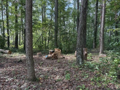 Level .88-Acre Wooded Lake Cumberland Community Lot - photo 2