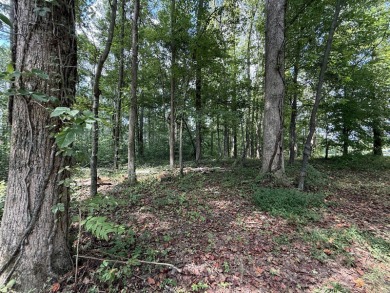 Level .88-Acre Wooded Lake Cumberland Community Lot - photo 3