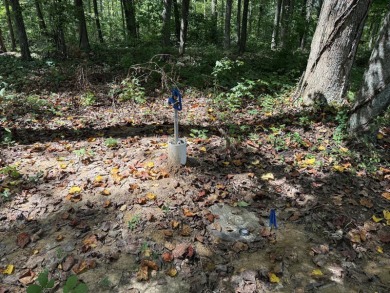 Level .88-Acre Wooded Lake Cumberland Community Lot - photo 4