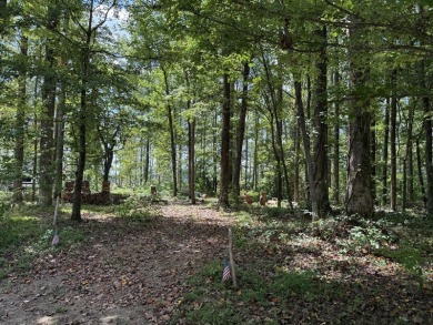 Level .88-Acre Wooded Lake Cumberland Community Lot - photo 5