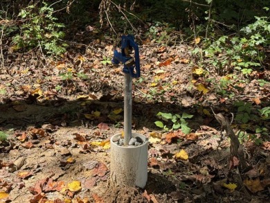 Level .88-Acre Wooded Lake Cumberland Community Lot - photo 6