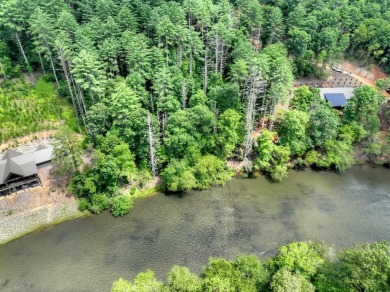 Lake Acreage For Sale in Mineral Bluff, Georgia