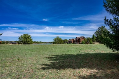 Build your dream lake home in Copper Point, one of the best - photo 12