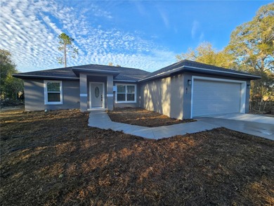 Bowers Lake Home For Sale in Ocala Florida