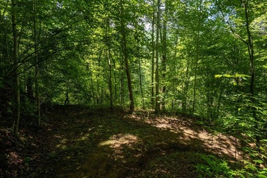 Are you ready for your dreams to come true in the NC Mountains?