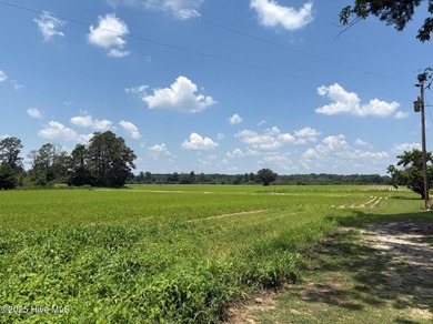 (private lake, pond, coastal) Acreage For Sale in Clarkton North Carolina