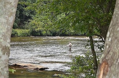 Are you ready for your dreams to come true in the NC Mountains?