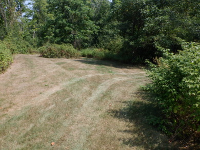 Cabin and pond and 10.13 private acres. SOLD - photo 12