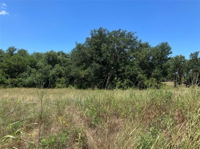 Lake Acreage For Sale in De Leon, Texas