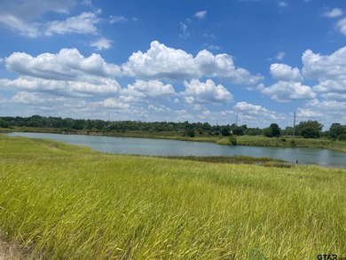 (private lake, pond, creek) Acreage For Sale in Quinlan Texas