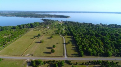 Lake Weir Home For Sale in Weirsdale Florida