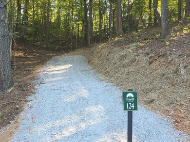 Coosawattee River - Gilmer County Lot Active Under Contract in East Ellijay Georgia