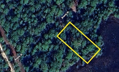 Lake Lot For Sale in Georgetown, Florida