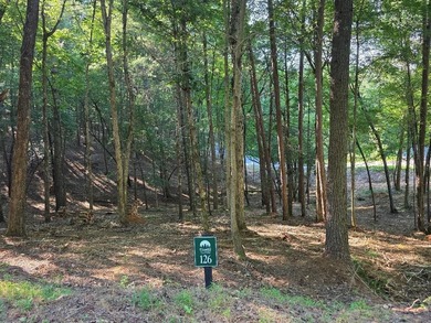 Coosawattee River - Gilmer County Lot For Sale in East Ellijay Georgia