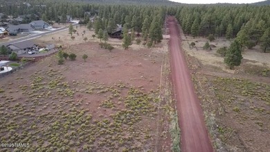 Premium 1-Acre Lot with Bill Williams Mountain Views - Build - photo 11