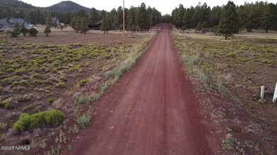 Premium 1-Acre Lot with Bill Williams Mountain Views - Build - photo 12