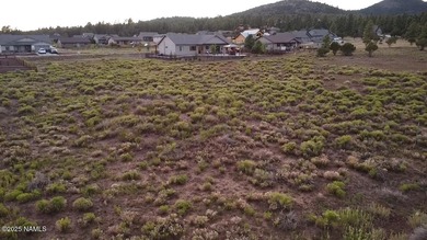 Premium 1-Acre Lot with Bill Williams Mountain Views - Build - photo 13