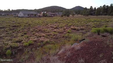 Premium 1-Acre Lot with Bill Williams Mountain Views - Build - photo 14