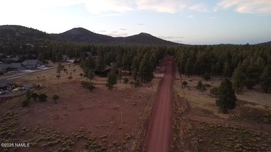 Premium 1-Acre Lot with Bill Williams Mountain Views - Build - photo 17