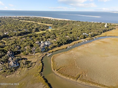 Looking for an opportunity to own a beautiful creek and marsh - photo 43