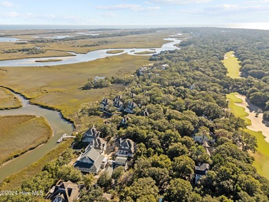 Looking for an opportunity to own a beautiful creek and marsh - photo 44