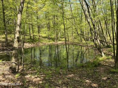 (private lake, pond, coastal) Acreage For Sale in Canaan New York