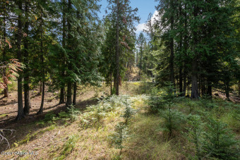 Lake Pend Oreille Lot Sale Pending in Sandpoint Idaho