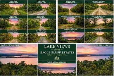EAGLE BLUFF ESTATES ADDITION 3 - A rare large-scale development - photo 3