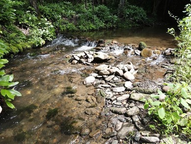 Campbell Cove Lake Acreage For Sale in Turtletown Tennessee