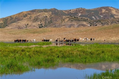 48400 Reliz Canyon Rd - photo 3