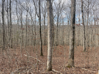 Unrestricted Lake Cumberland Lot - photo 8