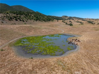 48400 Reliz Canyon Rd - photo 7