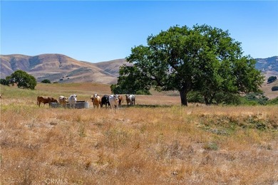 48400 Reliz Canyon Rd - photo 10