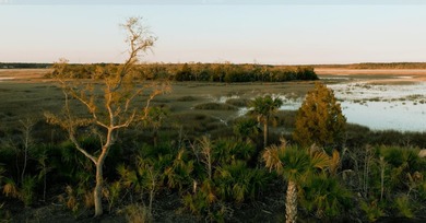 Wando River Lot For Sale in Charleston South Carolina