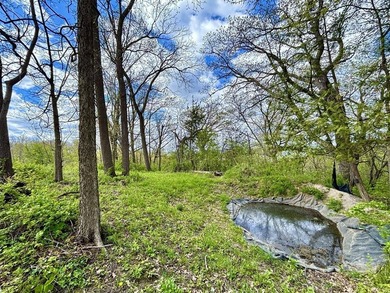 This Twin Bluff property is a rare ridgetop retreat overlooking - photo 14