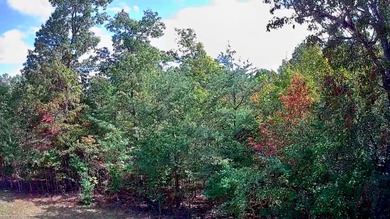 A 5-minute walk (2,00 ft. roughly away) to the covered pavilion - photo 15