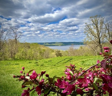This Twin Bluff property is a rare ridgetop retreat overlooking - photo 17